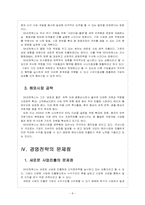 [SK네트웍스]SK네트웍스 경영전략의 문제점과 해결방안 보고서-8