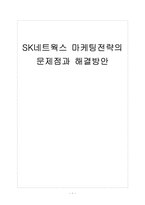 [SK네트웍스]SK네트웍스 마케팅전략의 문제점과 해결방안 보고서-1
