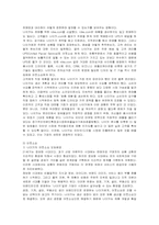 [마케팅] 나이키의 마케팅 분석과 문제점에 대한 방안-14