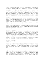 [마케팅] 나이키의 마케팅 분석과 문제점에 대한 방안-16