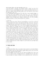 [관광경영] 프랑스의 관광산업과 주요 관광지 분석-19