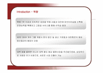 [경영정보] 대한통운의 정보시스템 분석-11