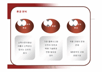 [경영정보] 대한통운의 정보시스템 분석-13