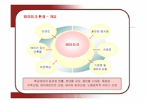 [마케팅] 롯데월드의 마케팅 전략 분석-4
