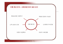 [마케팅] 코스트코의 마케팅 전략 분석-5