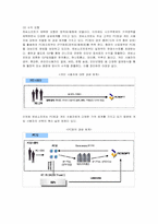 [경영전략] 엔씨소프트의 미국 진출 전략과 한계-3