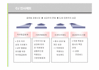 [인적자원관리] CJ그룹의 HRM 분석-11