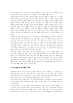 [콜버그]콜버그 정의공동체접근법(이론) 등장배경, 콜버그 정의공동체접근법(이론) 교사역할, 콜버그 정의공동체접근법(이론) 실제와 적용방안-6