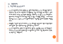 [LG디스플레이]LG디스플레이 경영전략의 문제점과 해결방안 PPT자료-13