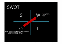 미샤(missha) SWOT분석및 마케팅전략 파워포인트-19