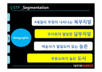 서울탁주 막걸리의 베트남시장진출 국제마케팅전략 파워포인트-10