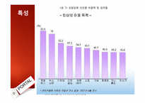 [A++레포트]인터넷 포털 산업의 특성,수입구조,5Force,전략적방향-4