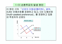 공공선택이론(ppt발표)-13