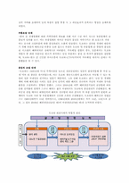 [경영정보] TOYOTA(도요타)의 TPS(Toyota Productivity System)와 JIT(Just in time) 도입 사례-16