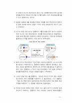 [기술과경제정책] 위피(WIPI) 의무화 폐지와 관련한 기술혁신 정책 분석-13
