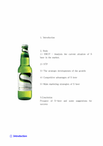 [마케팅원론] S beer 의 마케팅 전략(영문)-3