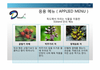 [창업론] 독도기금 조성을 위한 카페 창업 기획서-17