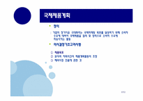 [국제마케팅] 국제제품전략-8