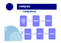[국제마케팅] 국제제품전략-9
