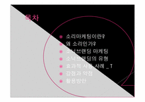 [마케팅] 소닉 브랜딩 마케팅-2