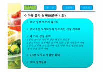 [국제경영] Lock@Lock(락앤락)의 아시아 시장 진입과 경쟁 전략 분석-14