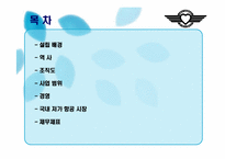 Southwest Airline의 경영사례 분석-2