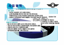 Southwest Airline의 경영사례 분석-14