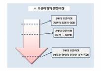 [경영혁신] 온라인 쇼핑몰의 혁신-11