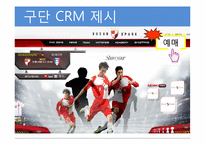[경영정보론] K리그 고객관계관리시스템 제안-8