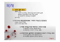 [경영조직론] 조직구조와 경영전략-2