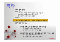 [경영조직론] 조직구조와 경영전략-13