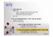 [경영조직론] 조직구조와 경영전략-19