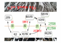 [경제학원론] 신고전학파와 신보수주의-3