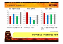[매체기획] OUTBACK(아웃백) 매체기획서-9