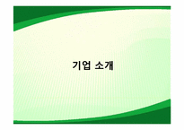 [마케팅관리] SolVerde의 마케팅 관리 사례-2