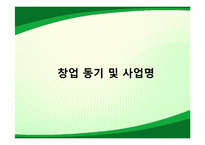 [마케팅관리] SolVerde의 마케팅 관리 사례-5