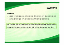[마케팅관리] SolVerde의 마케팅 관리 사례-13