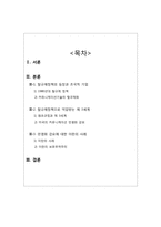 [국제커뮤니케이션] 커뮤니케이션과 개발도상국의 세계화 과정-2
