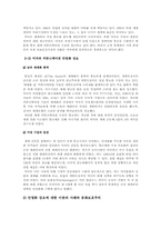[국제커뮤니케이션] 커뮤니케이션과 개발도상국의 세계화 과정-6