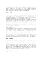 [국제커뮤니케이션] 커뮤니케이션과 개발도상국의 세계화 과정-8