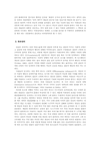 [집단심리학] 악성댓글에 관한 고찰(집단심리학의 관점에서)-9