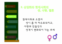 [사회학개론] 성, 결혼, 가족에 관한 고찰-11