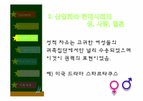 [사회학개론] 성, 결혼, 가족에 관한 고찰-13
