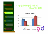 [사회학개론] 성, 결혼, 가족에 관한 고찰-17