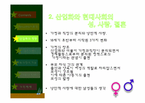 [사회학개론] 성, 결혼, 가족에 관한 고찰-20