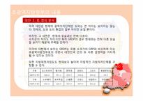[정부간관계론] 초광역 지방정부의 구상(준연방제의 도입가능성을 중심으로)-11