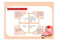 [정부간관계론] 초광역 지방정부의 구상(준연방제의 도입가능성을 중심으로)-16