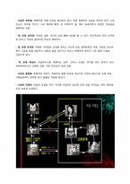 [문화컨텐츠] 웹툰 이끼의 작품 분석 및 제안-3