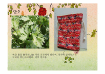 [중국인의생활문화] 중국의 명절-17