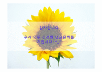[집단심리학] 악성댓글에 관한 고찰(집단심리학의 관점에서)-12